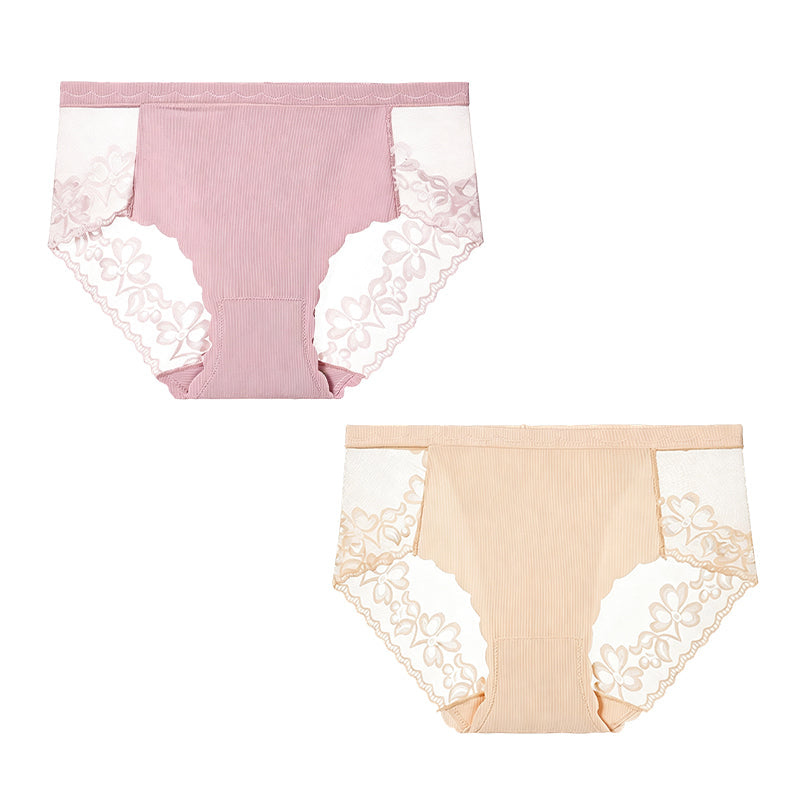Women's High-Waist Sexy Lace Mesh Briefs