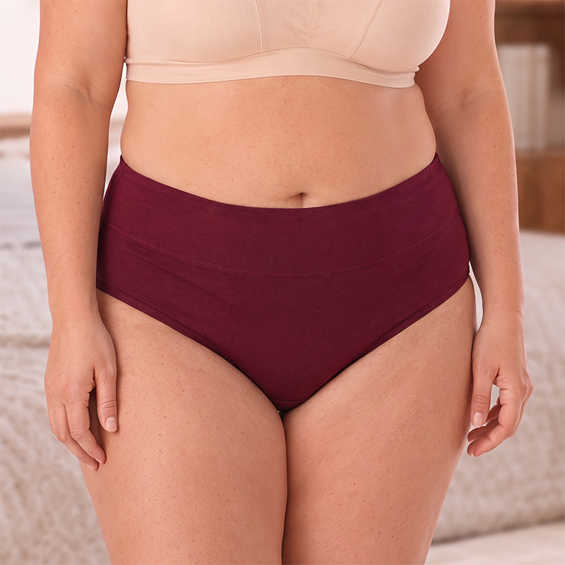 Women's Plus Size Menstrual Panties